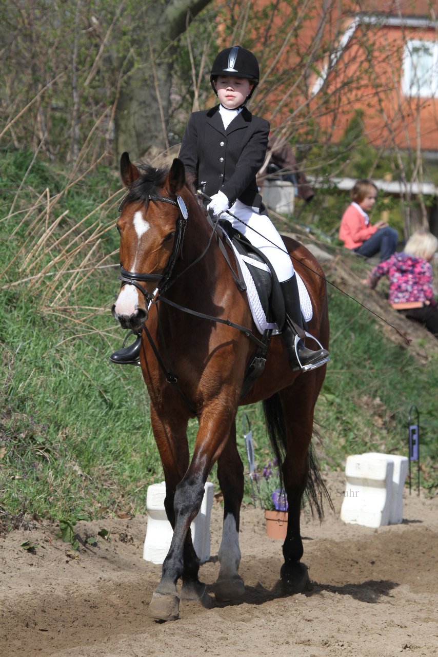 Bild 648 - WBO-Turnier am 9.4.11